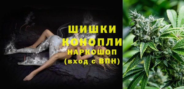 амф Инта