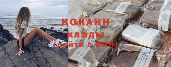 бошки Иннополис
