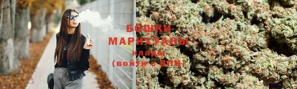 амф Инта