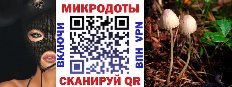 Галлюциногенные грибы Psilocybe  Ковылкино 